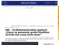 Bild zum Artikel: AfD – Großdemonstration geplant: „Diese so genannte große Koalition vertritt das Land nicht mehr“