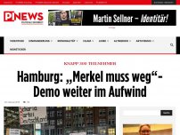 Bild zum Artikel: Knapp 300 Teilnehmer  Hamburg: „Merkel muss weg“-Demo weiter im Aufwind