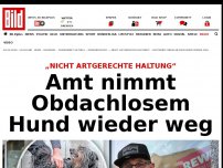 Bild zum Artikel: Nicht artgerechte Haltung - Amt nimmt Obdachlosem Hund wieder weg