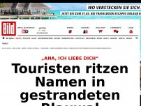 Bild zum Artikel: „Ana, ich liebe dich“ - Touristen ritzen Namen in gestrandeten Blauwal