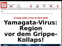 Bild zum Artikel: Schon zwei Tote in der MHH - Yamagata-Virus: Region vor dem Grippe-Kollaps!