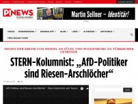 Bild zum Artikel: Wegen der Kritik von Weidel an Yücel und Poggenburg an Türkischer Gemeinde  STERN-Kolumnist: „AfD-Politiker sind Riesen-Arschlöcher“