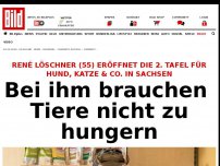 Bild zum Artikel: Tafel für Hund, Katze & Co. in Sachsen - Bei ihm brauchen Tiere nicht zu hungern