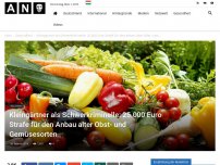 Bild zum Artikel: Kleingärtner als Schwerkriminelle: 25.000 Euro Strafe für den Anbau alter Obst- und Gemüsesorten