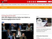 Bild zum Artikel: Notwendige Stimmenzahl verfehlt - Alle AfD-Abgeordnete fallen bei Wahl zu Bundestagsgremien durch