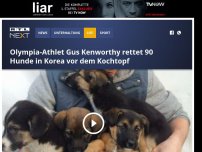 Bild zum Artikel: Olympia-Athlet Gus Kenworthy rettet 90 Hunde in Korea vor dem Kochtopf