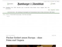 Bild zum Artikel: Rede in Hamburg: Fischer fordert neues Europa – ohne Polen und Ungarn