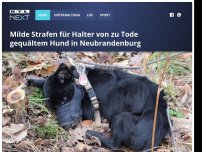 Bild zum Artikel: Milde Strafen für Halter von zu Tode gequältem Hund in Neubrandenburg