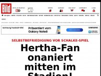 Bild zum Artikel: Vor Schalke-Spiel - Hertha-Fan onaniert mitten im Fan-Block!