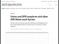Bild zum Artikel: Damaskus: Union und SPD empören sich über AfD-Reise nach Syrien