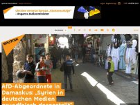 Bild zum Artikel: AfD-Abgeordnete in Damaskus: „Syrien in deutschen Medien grundfalsch dargestellt“