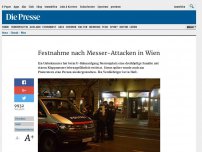 Bild zum Artikel: Festnahme nach Messer-Attacken in Wien