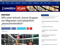 Bild zum Artikel: SPD unter Schock: Ganze Gruppen von Migranten sind tatsächlich „deutschenfeindlich“