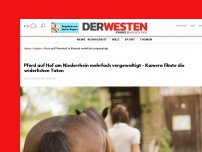 Bild zum Artikel: Pferd auf Hof am Niederrhein mehrfach vergewaltigt - Kamera filmte die widerlichen Taten
