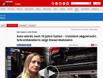 Bild zum Artikel: Schrottplatz voller Diesel - Auto würde noch 10 Jahre halten – trotzdem abgewrackt: Schrotthändlerin zeigt Diesel-Wahnsinn