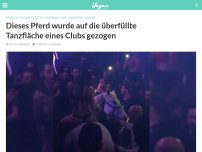 Bild zum Artikel: Dieses Pferd wurde auf die überfüllte Tanzfläche eines Clubs gezogen