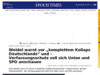 Bild zum Artikel: AfD-Fraktionschefin warnt vor „kompletten Kollaps Deutschlands“