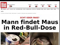 Bild zum Artikel: Echt oder Fake? - Mann findet Maus in Red-Bull-Dose