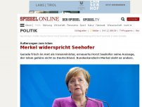 Bild zum Artikel: Äußerungen zum Islam: Merkel widerspricht Seehofer