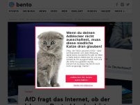 Bild zum Artikel: AfD fragt das Internet, ob der Islam zu Deutschland gehört – die Antwort ist eindeutig