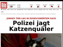 Bild zum Artikel: Tier in Sack gefunden - Polizei jagt Katzenquäler