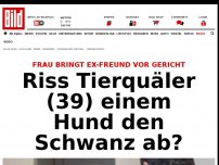 Bild zum Artikel: Prozess in Düsseldorf - Riss Tierquäler (39) Hund den Schwanz ab?