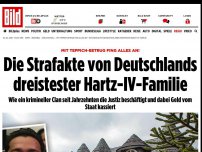 Bild zum Artikel: Zuerst Teppich-Betrug - Die Strafakte der dreistesten Hartz-IV-Familie