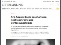 Bild zum Artikel: Bundestag: AfD-Abgeordnete beschäftigen Rechtsextreme und Verfassungsfeinde