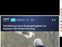 Bild zum Artikel: 343 Millionen Euro Kindergeld gehen ins Ausland: AfD fordert Kürzung