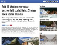 Bild zum Artikel: Seit 11 Wochen vermisst - Verzweifelt sucht Heinz Steiger nach seiner Hündin!