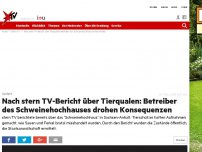 Bild zum Artikel: Update: Nach stern TV-Bericht über Tierqualen: Betreiber des Schweinehochhauses drohen Konsequenzen