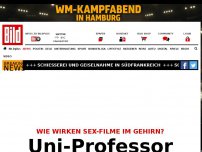 Bild zum Artikel: Wie wirken Sex-Filme? - Uni-Professor sucht Porno-Gucker