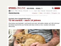 Bild zum Artikel: Rückkehr einer totgeglaubten Katze: T2 ist zurück - nach 14 Jahren