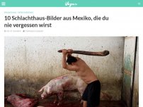 Bild zum Artikel: 10 Schlachthaus-Bilder aus Mexiko, die du nie vergessen wirst