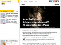 Bild zum Artikel: Noah Becker will Schmerzensgeld vom AfD-Abgeordneten Jens Maier