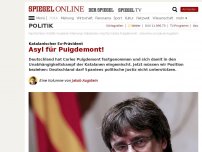Bild zum Artikel: Katalanischer Ex-Präsident: Asyl für Puigdemont!