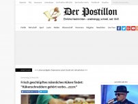 Bild zum Artikel: Frisch geschlüpftes männliches Küken: 'Kükenschreddern gehört verbo...zzzrx'
