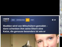 Bild zum Artikel: Madden wird von Mitschülern gemobbt – dann schenken ihm seine Eltern eine Katze, die genauso besonders ist wie er