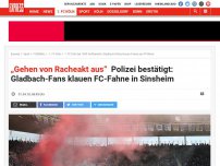 Bild zum Artikel: Ultra-Fahne geklaut: Riesen Fan-Ärger in Hoffenheim