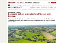 Bild zum Artikel: Ökologischer Zustand: Zu wenig Leben in deutschen Flüssen und Bächen