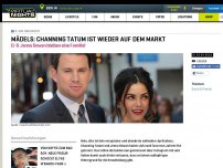 Bild zum Artikel: Mädels: Channing Tatum ist wieder auf dem Markt