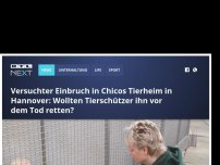 Bild zum Artikel: Versuchter Einbruch in Chicos Tierheim in Hannover: Wollten Tierschützer ihn vor dem Tod retten?