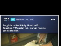 Bild zum Artikel: Bad König: Hund tötet Säugling (7 Monate) durch Biss in den Kopf