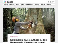 Bild zum Artikel: Kolumbien muss aufhören, den Regenwald abzuholzen – weil 25 Kinder geklagt haben