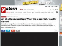 Bild zum Artikel: Tödliche Hunde-Attacken: An alle Hundebesitzer: Wisst ihr eigentlich, was ihr da tut?