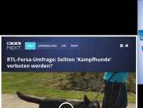 Bild zum Artikel: RTL-Forsa-Umfrage: Sollten 'Kampfhunde' verboten werden?