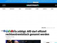 Bild zum Artikel: Gericht bestätigt: AfD darf offiziell rechtsextremistisch genannt werden