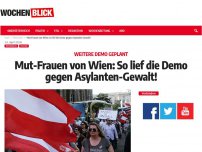 Bild zum Artikel: Mut-Frauen von Wien: So lief die Demo gegen Asylanten-Gewalt!