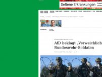Bild zum Artikel: AfD beklagt „Verweichlichung“ der Bundeswehr-Soldaten