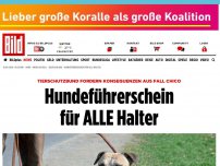 Bild zum Artikel: Tierschutzbund - Hundeführerschein für ALLE Halter